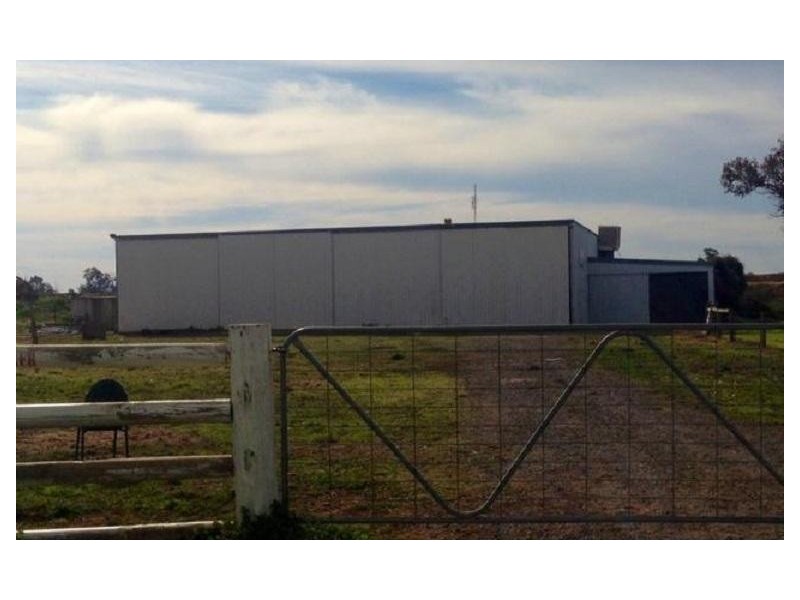 20342 Riverina Highway, Deniliquin NSW 2710