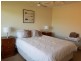 * Homer Road, Clarence Park SA 5034