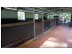 Cootharaba QLD 4565
