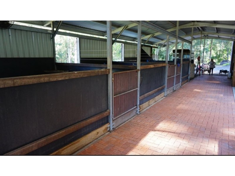 Cootharaba QLD 4565
