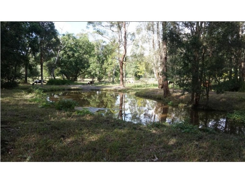Cootharaba QLD 4565
