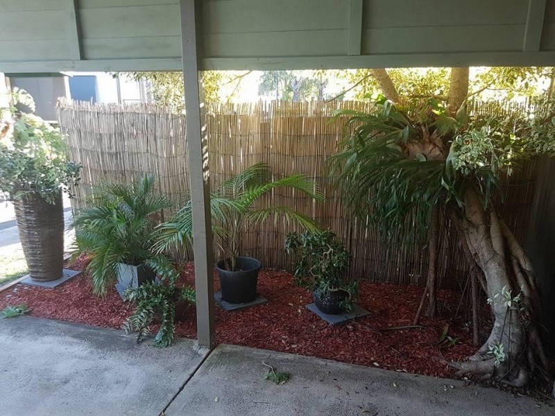 319 Bradman Avenue, Maroochydore QLD 4558