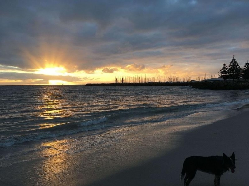 8 Wesley Street, South Fremantle WA 6162