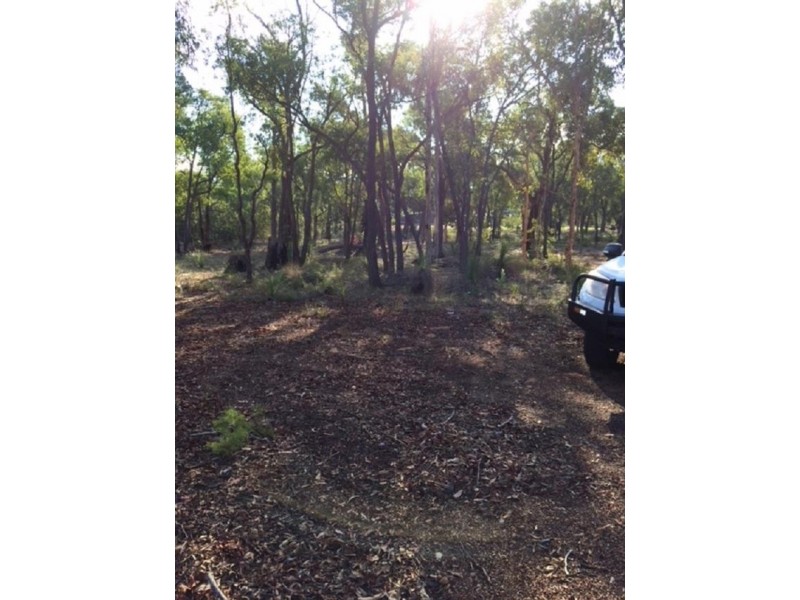 29 Guernsey Rise, Lower Chittering WA 6084