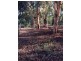 29 Guernsey Rise, Lower Chittering WA 6084