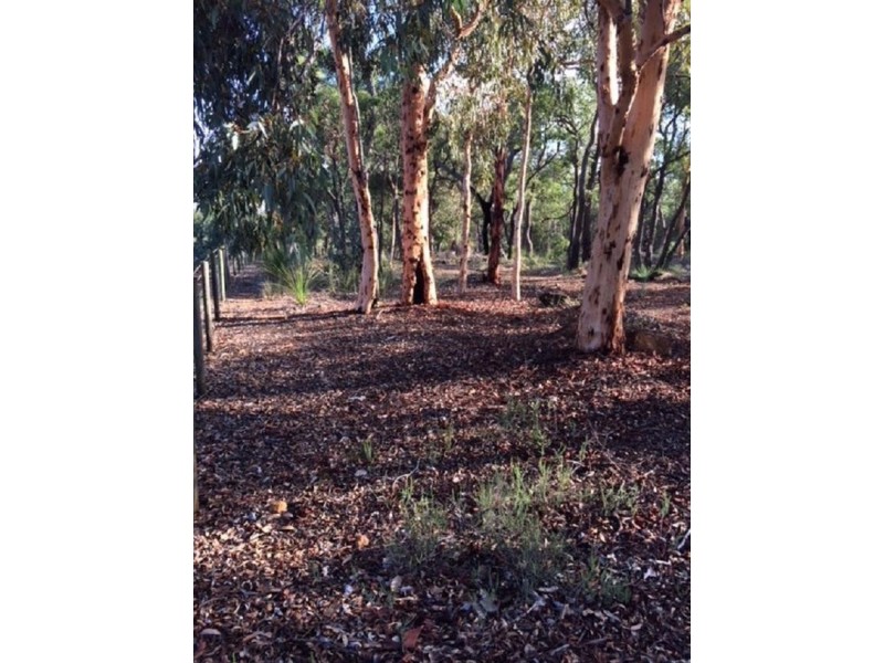 29 Guernsey Rise, Lower Chittering WA 6084