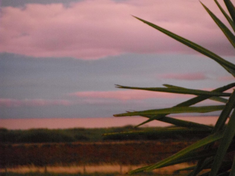 72 Watson Street, Milang SA 5256