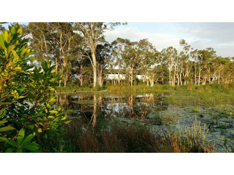 9 Harvey Lane, Meridan Plains QLD 4551