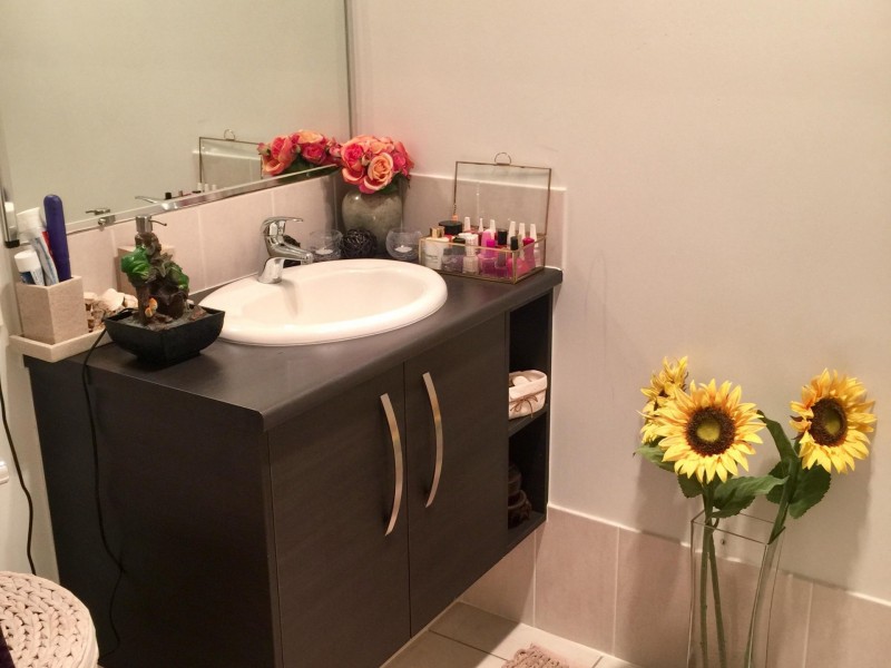 6 Hinchinbrook Avenue, Fitzgibbon QLD 4018