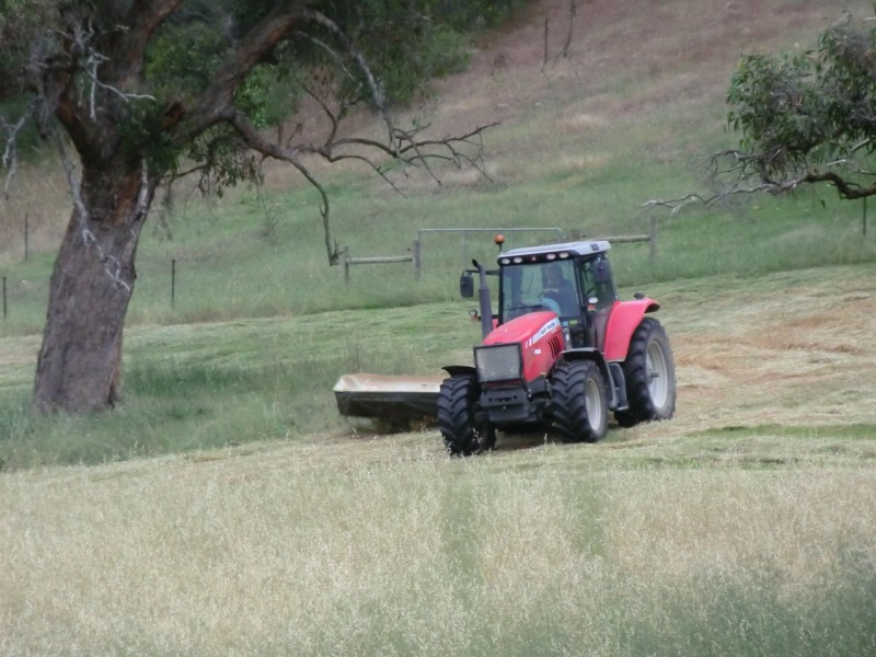 11 Synbank Road, Kersbrook SA 5231