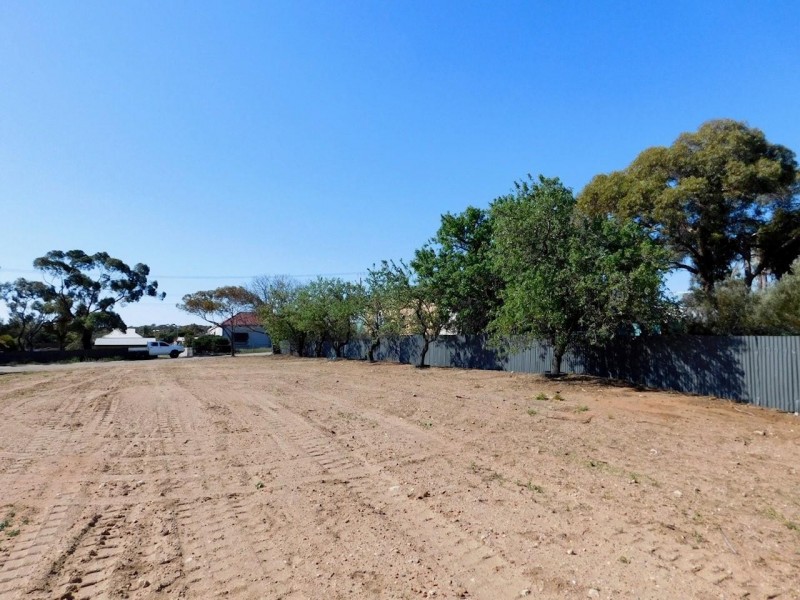 48 Alma Avenue, Murray Bridge SA 5253