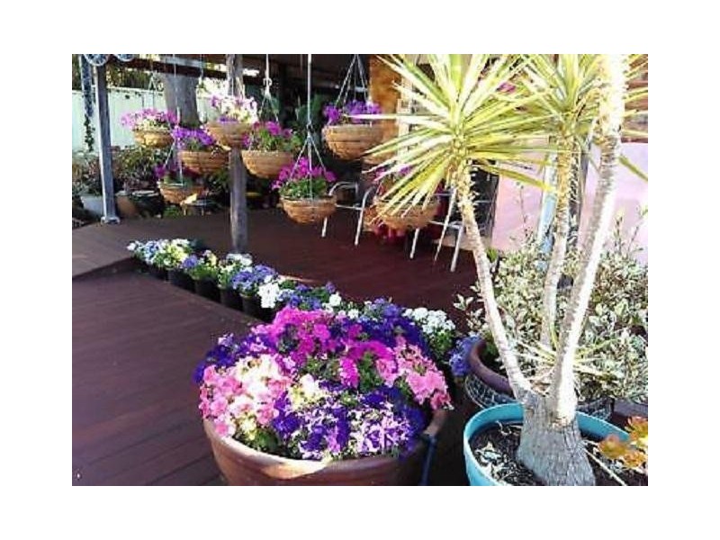 105 Holland Street, Fremantle WA 6160