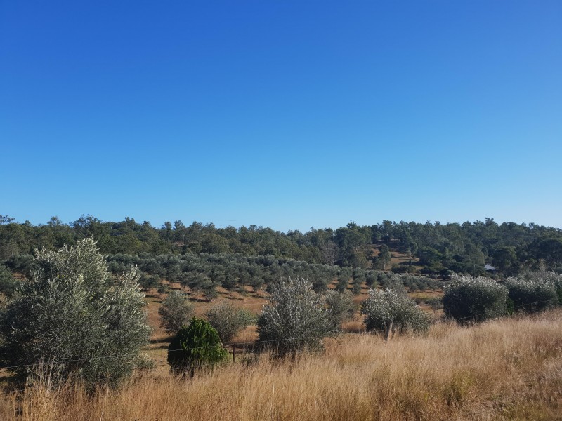 16 Eileen Crescent, Horse Camp QLD 4671