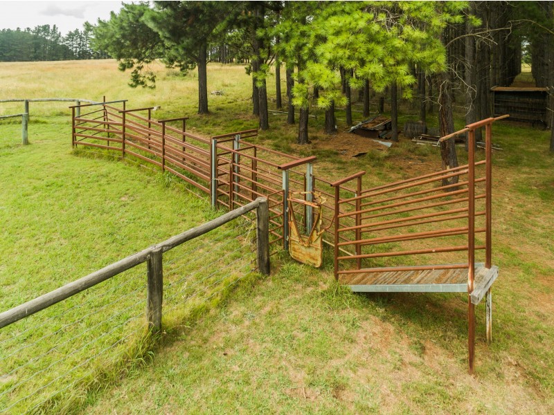 49 Jacksons Road, Arding NSW 2358