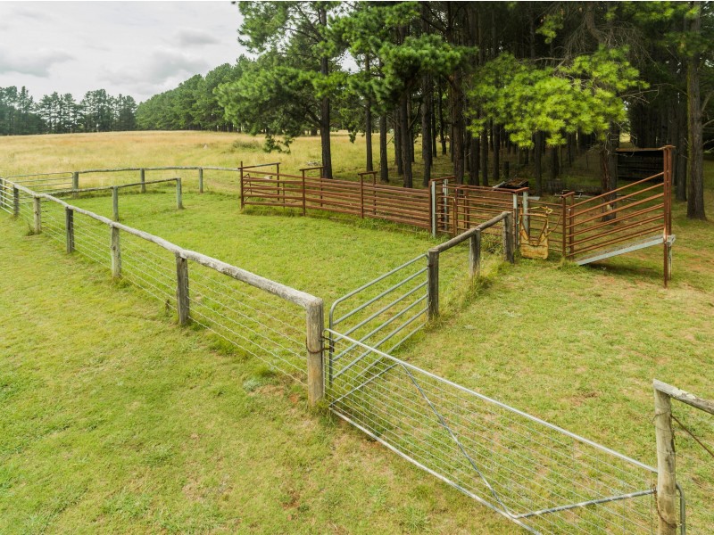 49 Jacksons Road, Arding NSW 2358