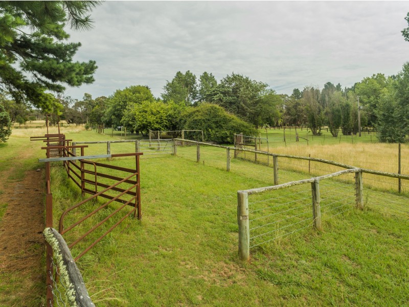 49 Jacksons Road, Arding NSW 2358