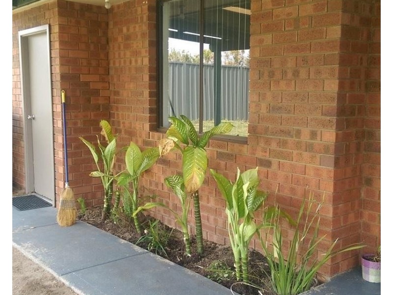 19 Dargin Way, Rockingham WA 6168