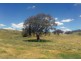 201/2122 Long Point Road, Mullion Creek NSW 2800