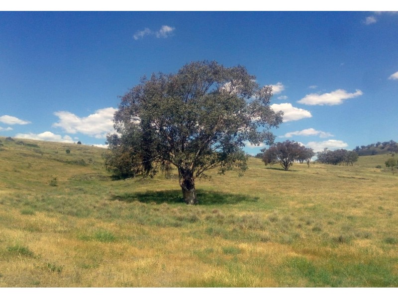 201/2122 Long Point Road, Mullion Creek NSW 2800
