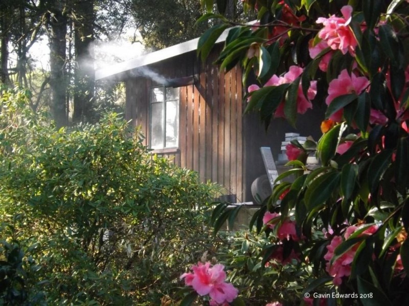 Wildwoods 499 Lapoinya Road, Lapoinya TAS 7325