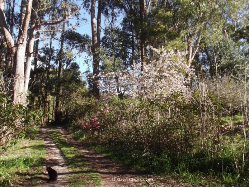 Wildwoods 499 Lapoinya Road, Lapoinya TAS 7325