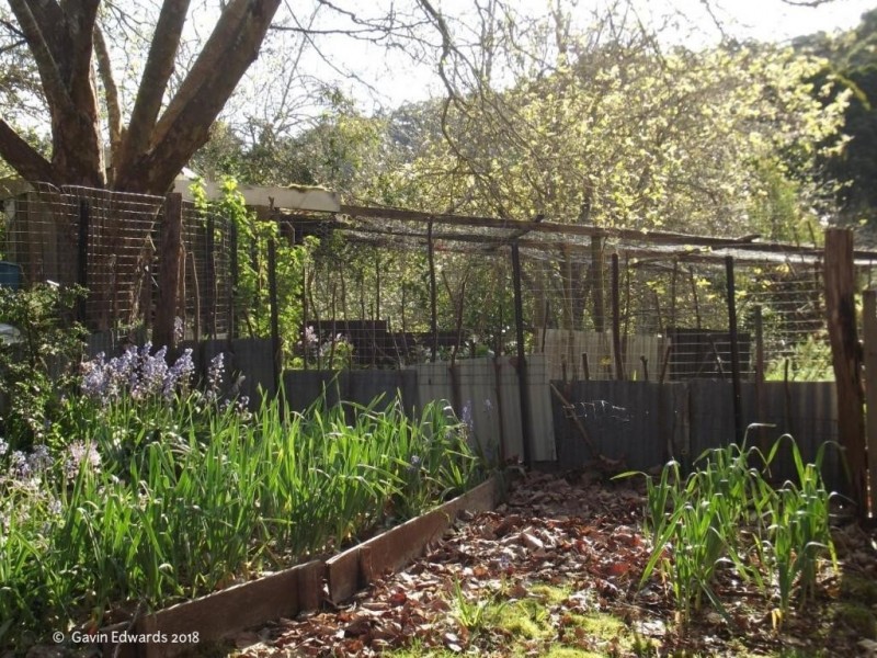 Wildwoods 499 Lapoinya Road, Lapoinya TAS 7325