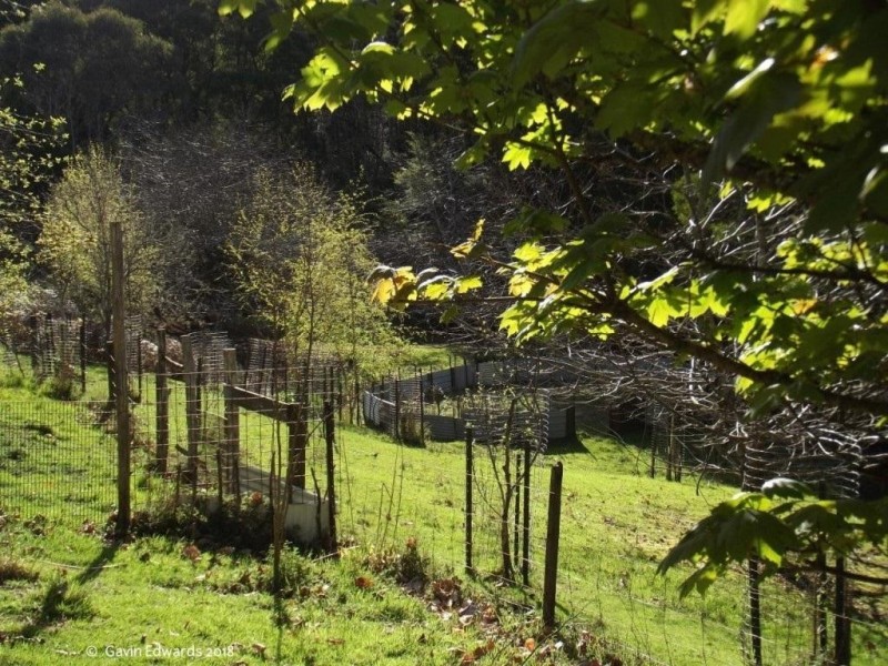 Wildwoods 499 Lapoinya Road, Lapoinya TAS 7325