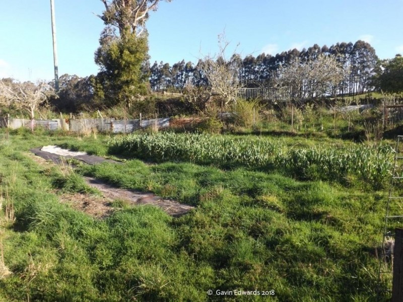 Wildwoods 499 Lapoinya Road, Lapoinya TAS 7325