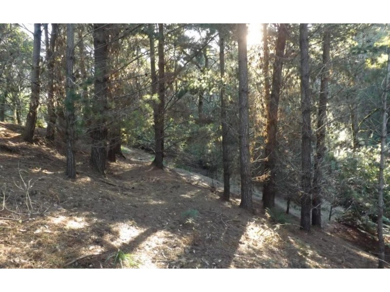 Wildwoods 499 Lapoinya Road, Lapoinya TAS 7325