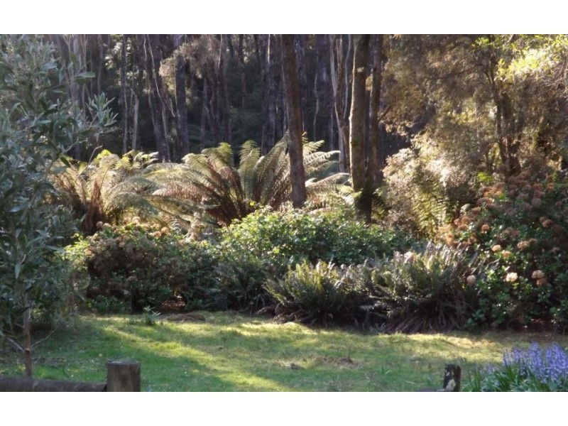 Wildwoods 499 Lapoinya Road, Lapoinya TAS 7325