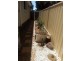1449 Calder Highway, Marong VIC 3515