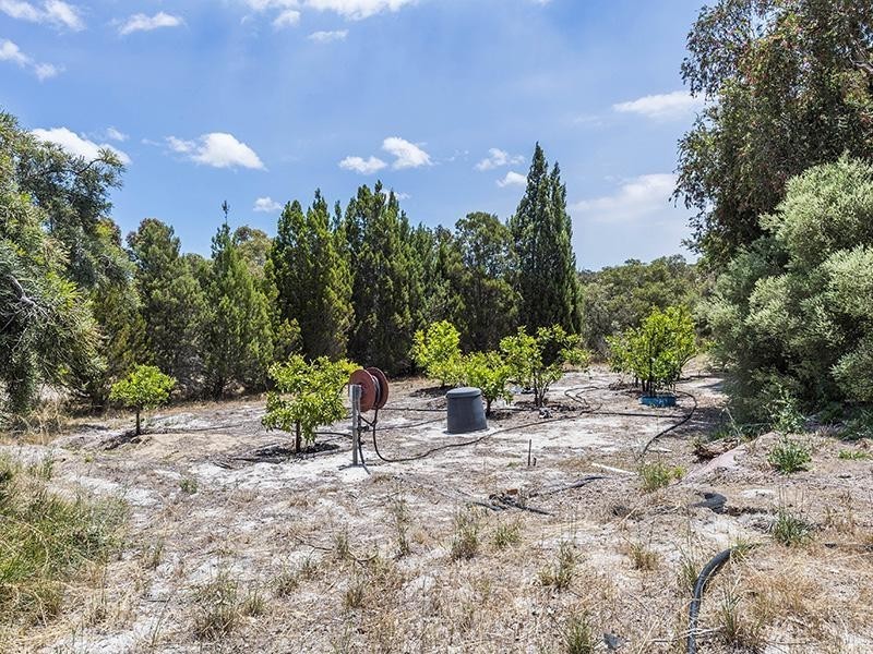 6 Banksia Court, Jandakot WA 6164