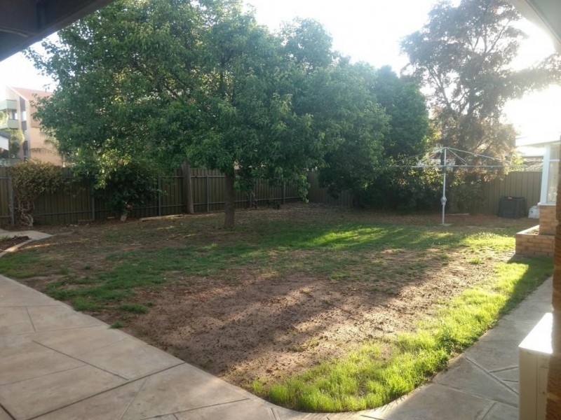 14 Maria Street, Findon SA 5023