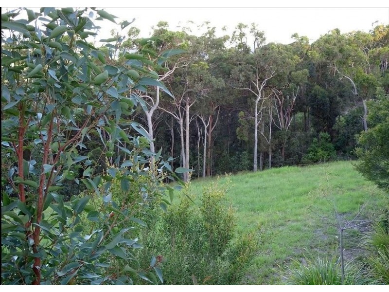 21 Wedgetail Court, Valdora QLD 4561
