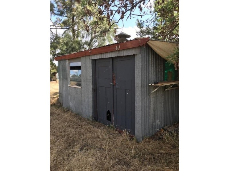 10 Macintosh Avenue, Rupanyup VIC 3388