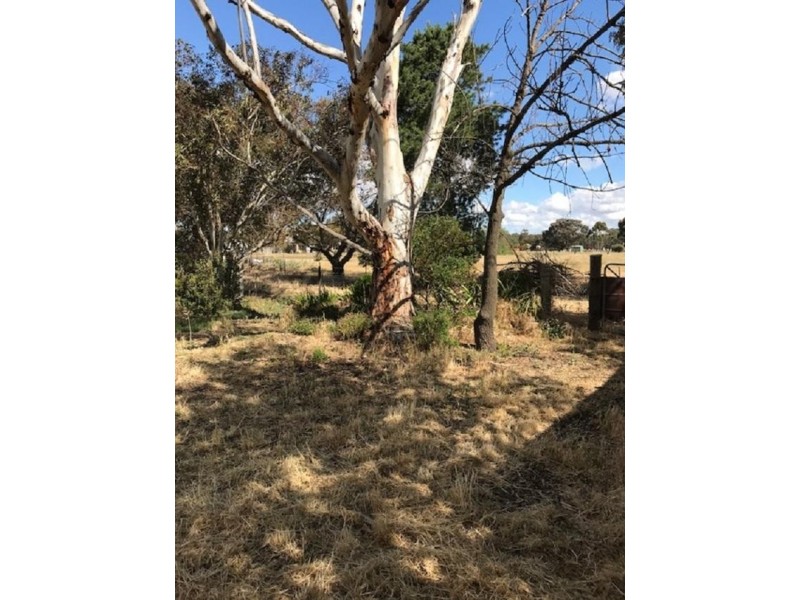 10 Macintosh Avenue, Rupanyup VIC 3388