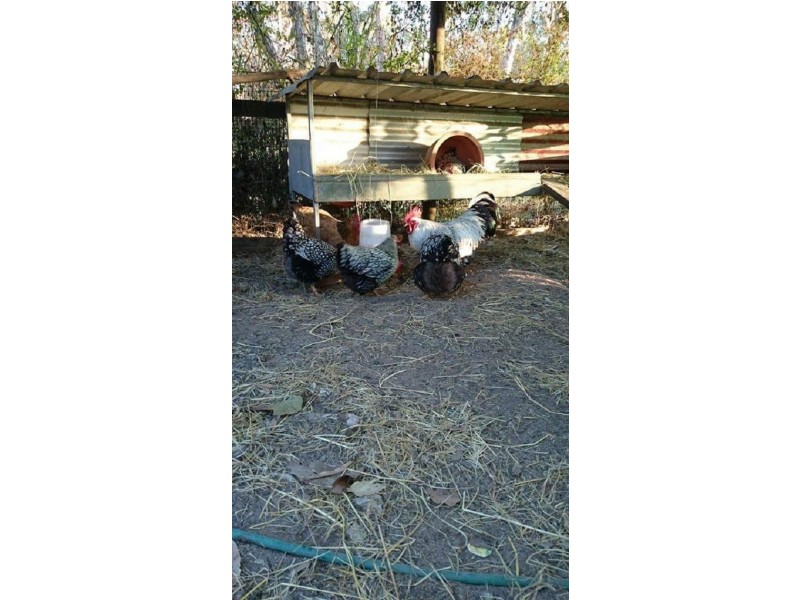 99 Toolakea Beach Road, Bluewater QLD 4818