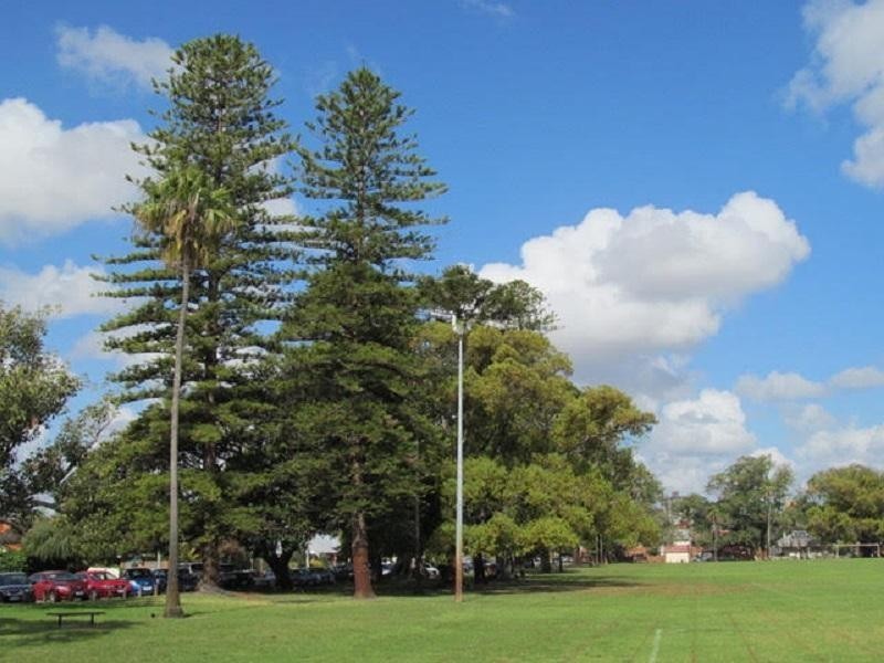 47 Cargill Street, Victoria Park WA 6100