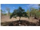 40 Tyree Road, Mount Julian QLD 4800