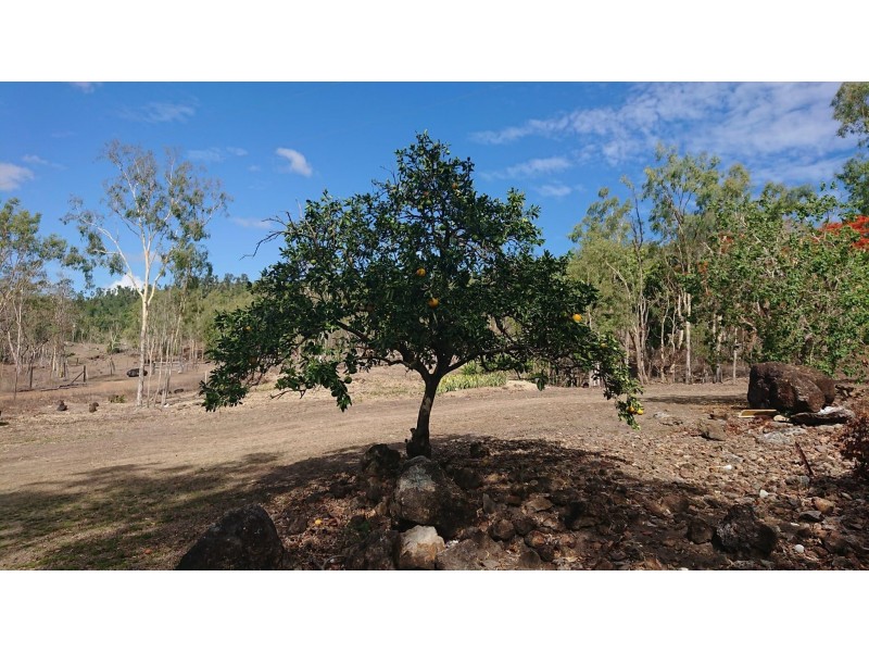40 Tyree Road, Mount Julian QLD 4800