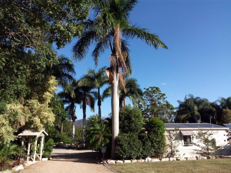 58 Collaroy Road, Guanaba QLD 4210