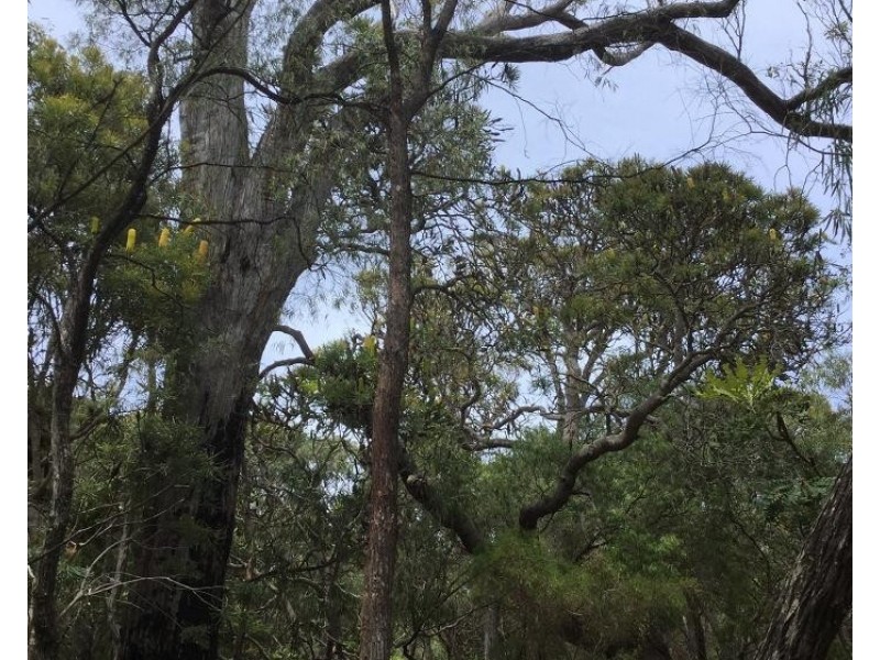 86 Tilly Road (Injidup), Yallingup WA 6282