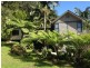 491 Upper Wilsons Creek Road, Upper Wilsons Creek NSW 2482