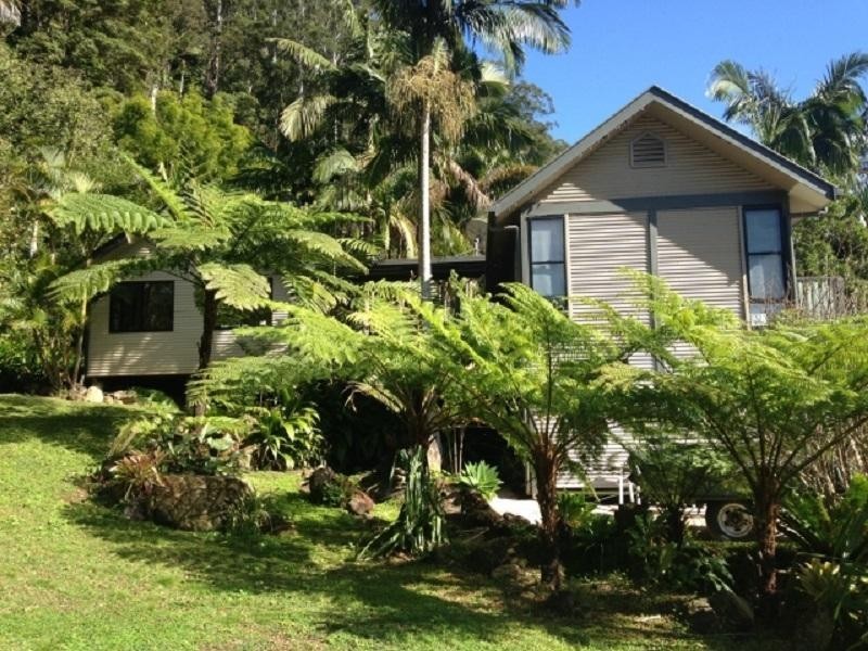 491 Upper Wilsons Creek Road, Upper Wilsons Creek NSW 2482