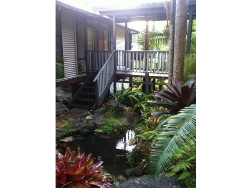 491 Upper Wilsons Creek Road, Upper Wilsons Creek NSW 2482