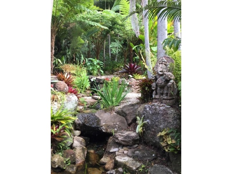491 Upper Wilsons Creek Road, Upper Wilsons Creek NSW 2482