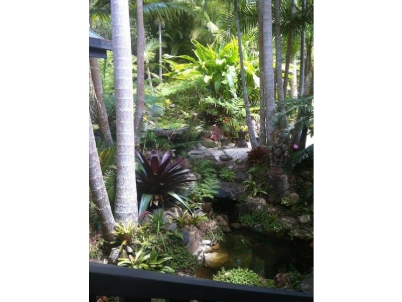 491 Upper Wilsons Creek Road, Upper Wilsons Creek NSW 2482