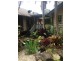 491 Upper Wilsons Creek Road, Upper Wilsons Creek NSW 2482