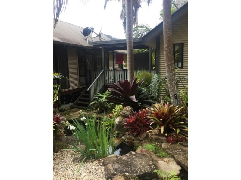 491 Upper Wilsons Creek Road, Upper Wilsons Creek NSW 2482