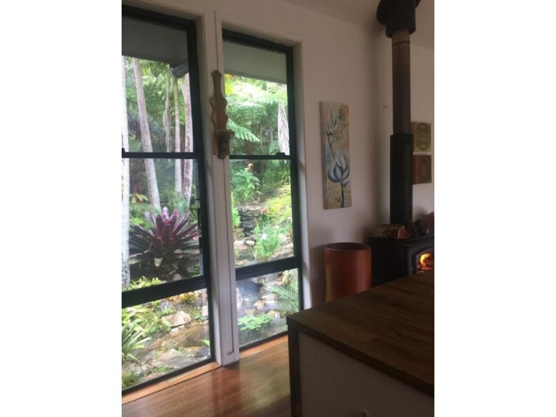 491 Upper Wilsons Creek Road, Upper Wilsons Creek NSW 2482